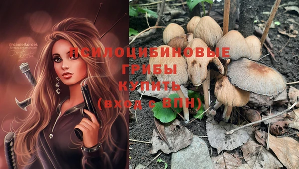 COCAINE Белокуриха