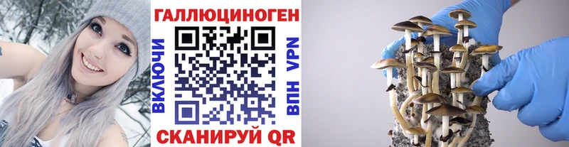OMG сайт  закладка  Новоалтайск  Галлюциногенные грибы MAGIC MUSHROOMS 